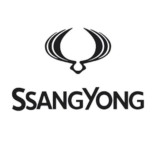 Řídící jednotky SSANG YONG