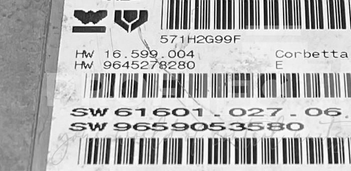 Štítek jednotky: 9645278280, 9659053580, 16.599.004, 61601.027.06