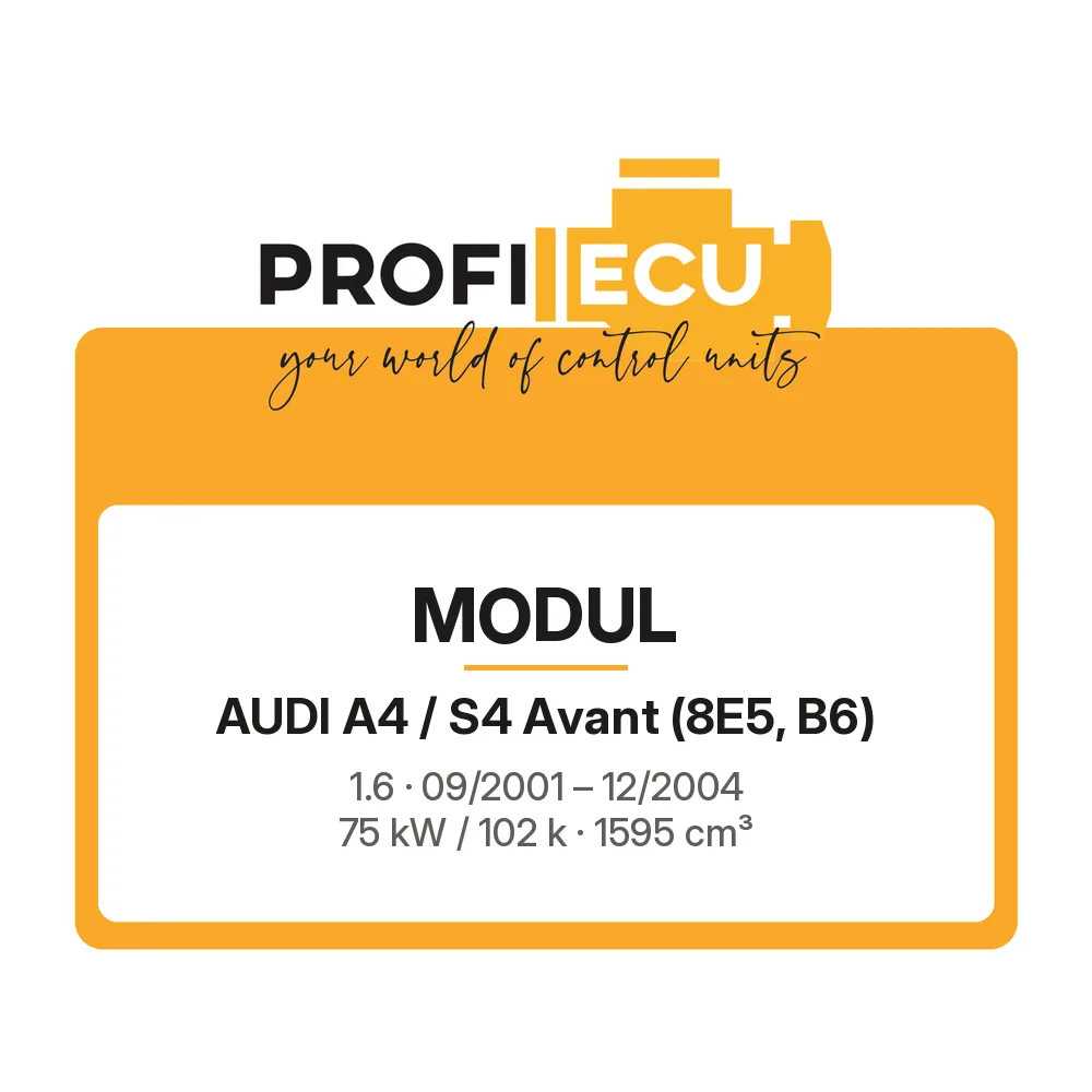 Etiketa ProfiECU: Modul pro Audi A4 / S4 Avant 1.6 75 kW