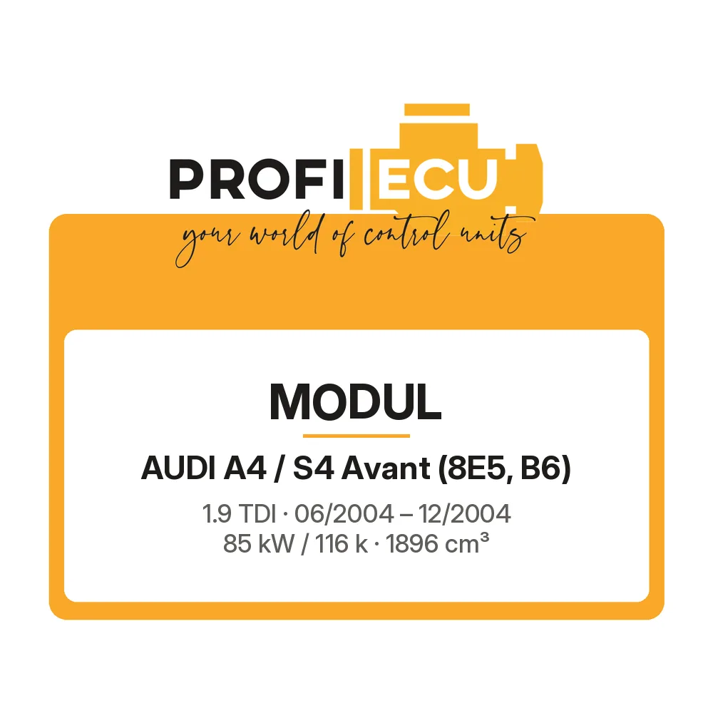 Etiketa ProfiECU: Modul pro Audi A4 / S4 Avant 1.9 TDI 85 kW