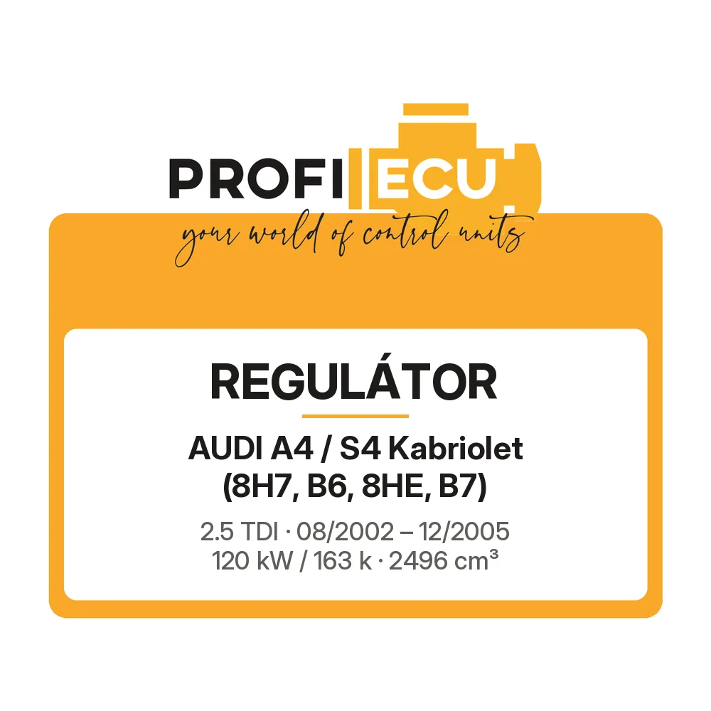 Etiketa ProfiECU: Regulátor pro Audi A4 / S4 Kabriolet 2.5 TDI 120 kW