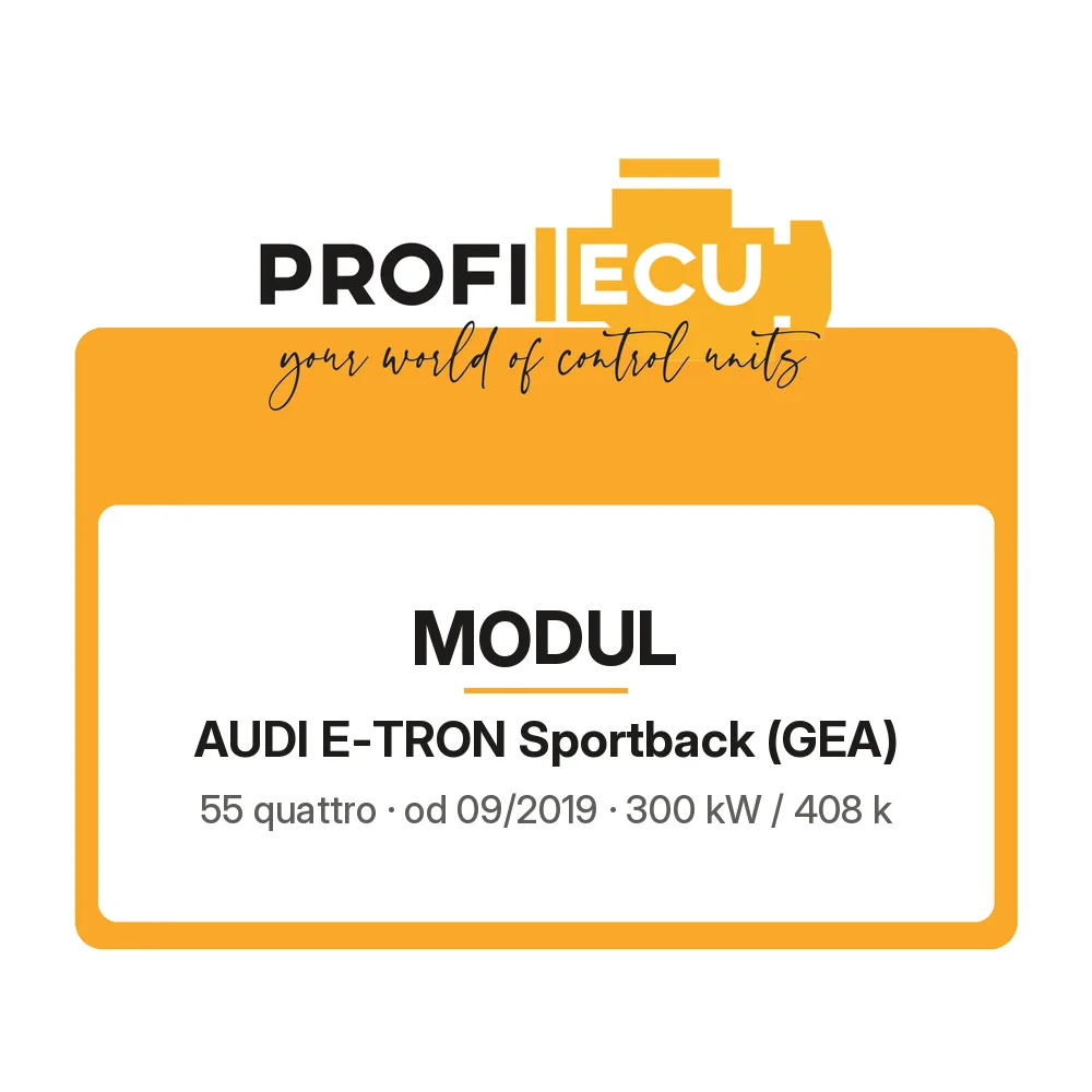Etiketa ProfiECU: Modul pro Audi E-TRON Sportback 55 quattro