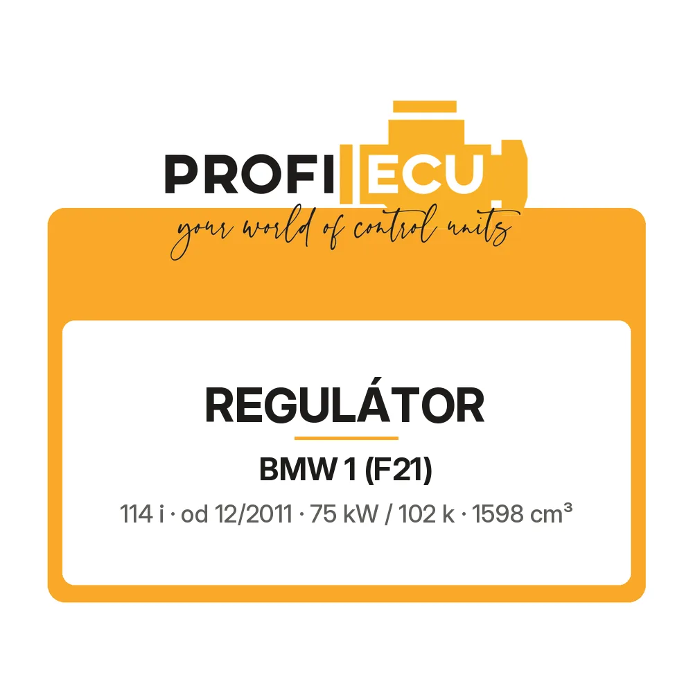 Etiketa ProfiECU: Regulátor pro BMW 1 114 i 75 kW