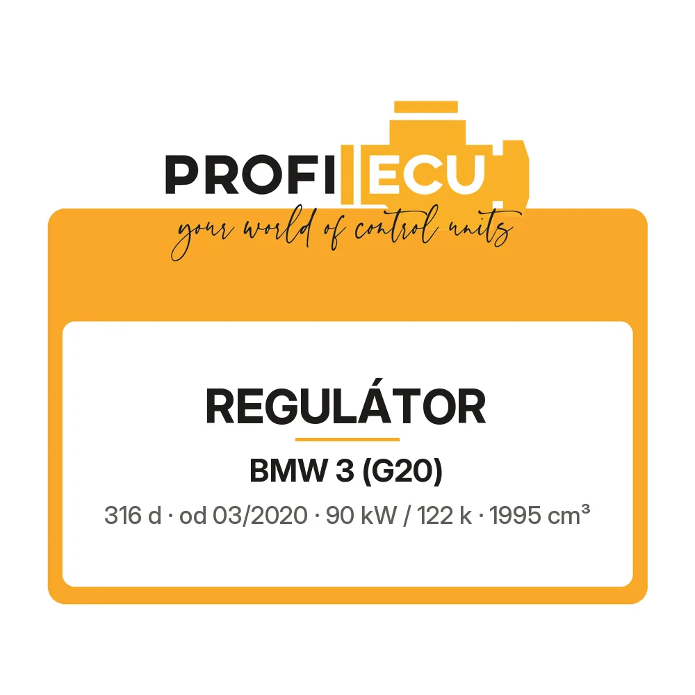Etiketa ProfiECU: Regulátor pro BMW 3 316 d 90 kW