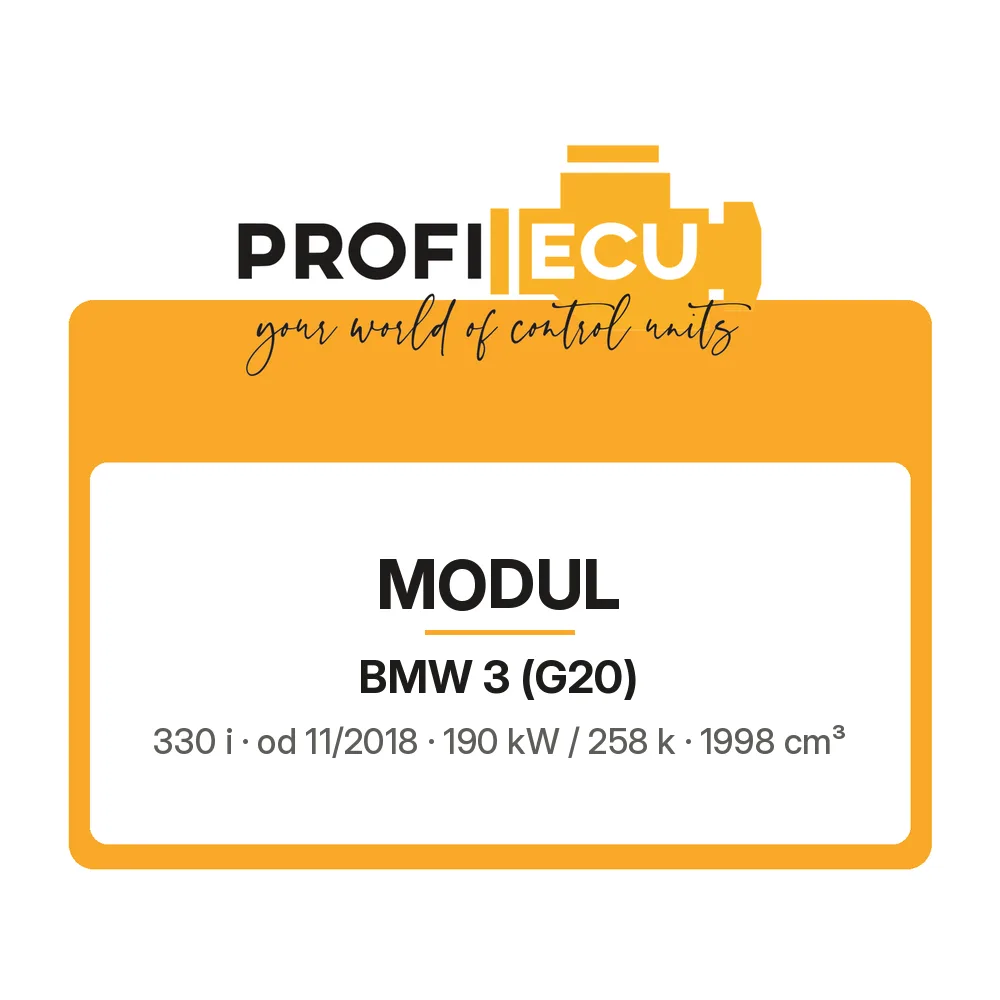 Etiketa ProfiECU: Modul pro BMW 3 330 i 190 kW