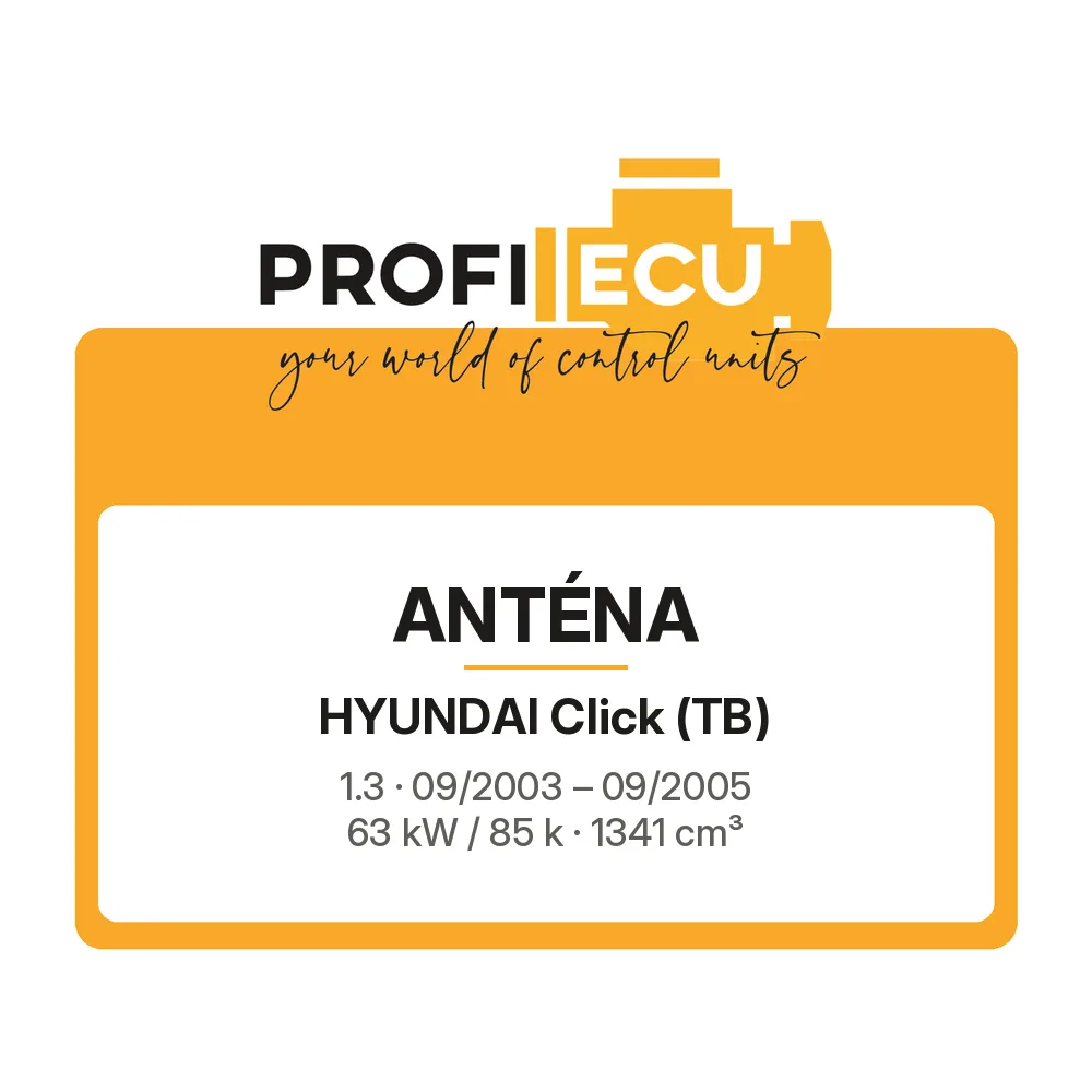 Etiketa ProfiECU: Anténa pro Hyundai Click 1.3 63 kW