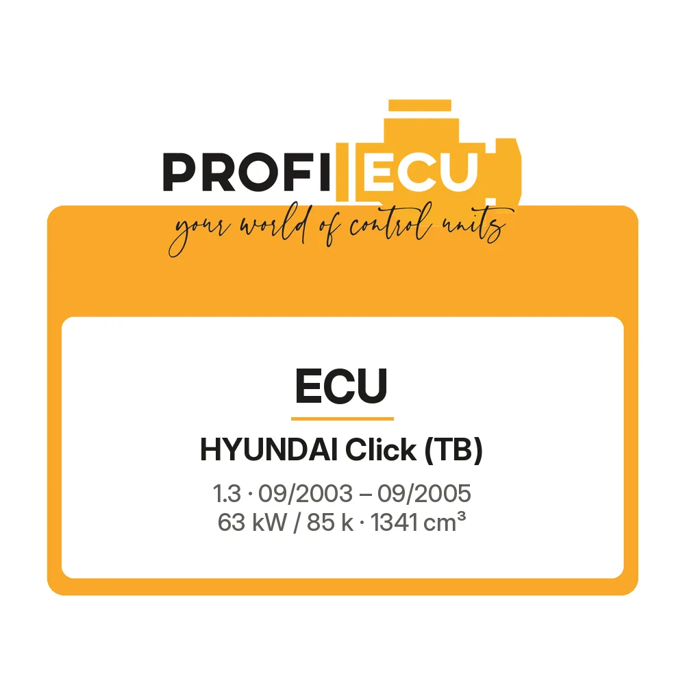 Etiketa ProfiECU: ECU pro Hyundai Click 1.3 63 kW