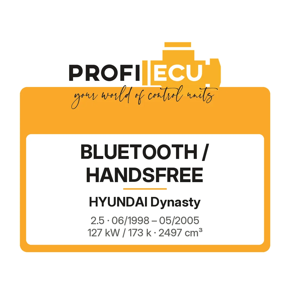 Etiketa ProfiECU: Bluetooth / Handsfree pro Hyundai Dynasty 2.5 127 kW