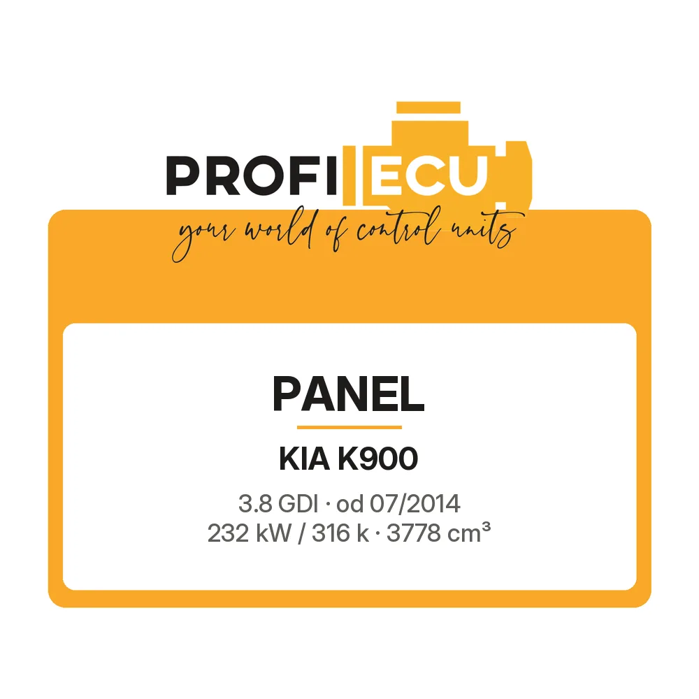 Etiketa ProfiECU: Panel pro Kia K900 3.8 GDI 232 kW