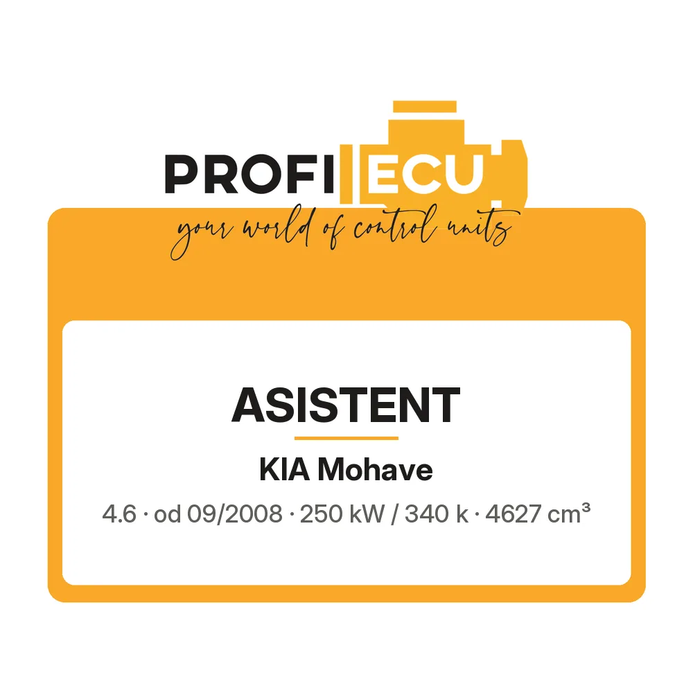 Etiketa ProfiECU: ASISTENT pro Kia Mohave 4.6 250 kW