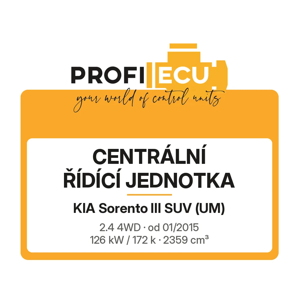 Etiketa ProfiECU: Centrální řídící jednotka pro Kia Sorento III SUV 2.4 4WD 126 kW