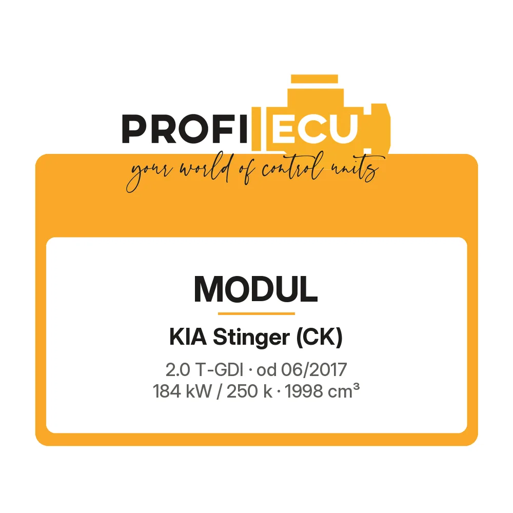 Etiketa ProfiECU: Modul pro Kia Stinger 2.0 T-GDI 184 kW