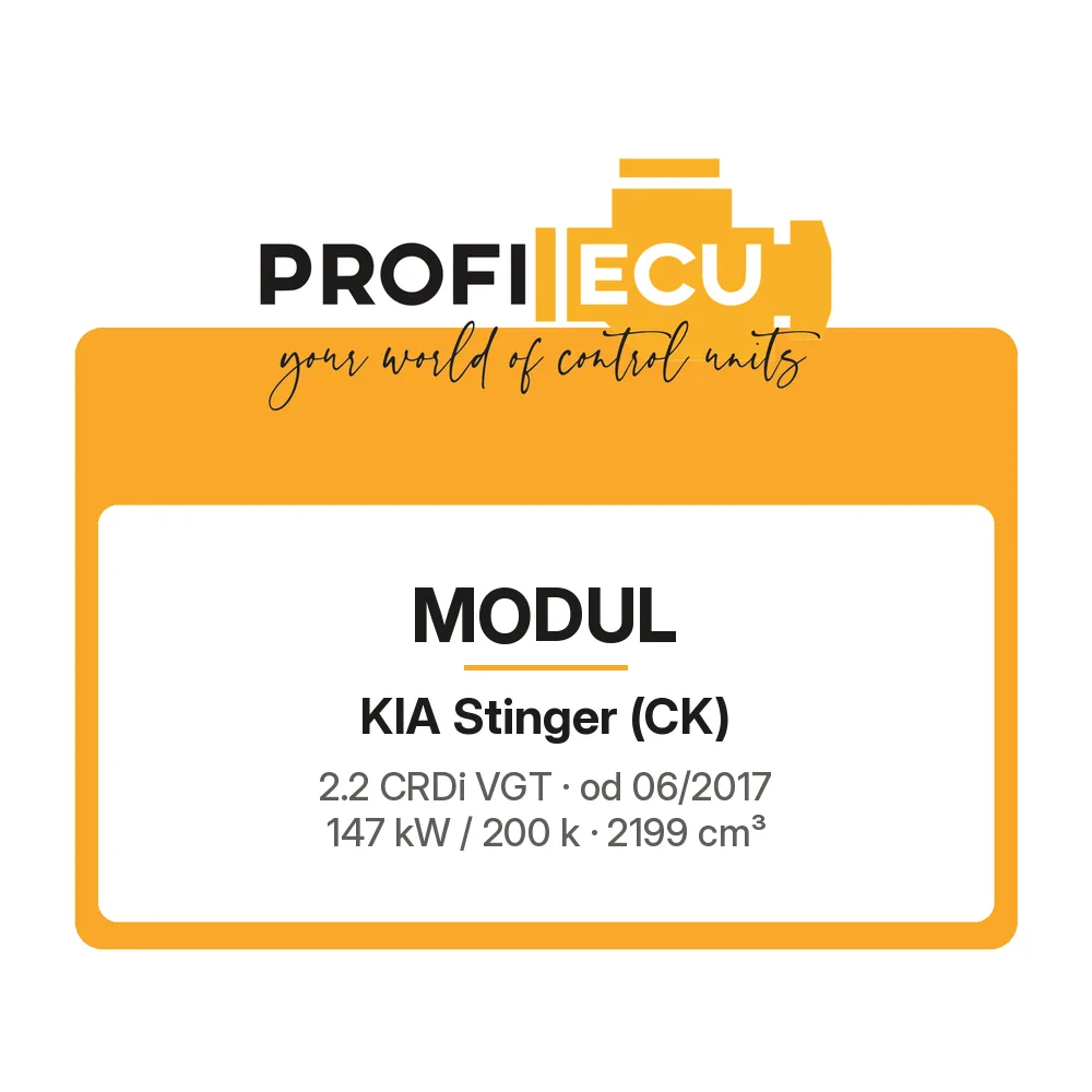 Etiketa ProfiECU: Modul pro Kia Stinger 2.2 CRDi VGT 147 kW