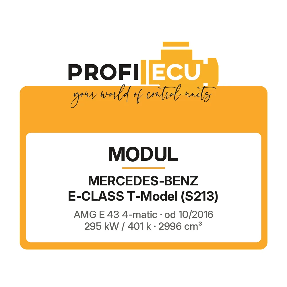 Etiketa ProfiECU: Modul pro Mercedes-Benz E-CLASS T-Model AMG E 43 4-matic 295 kW