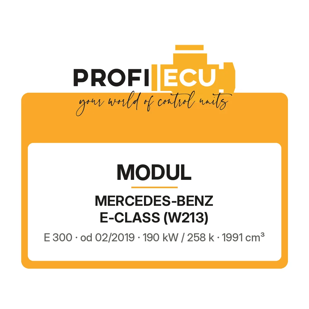 Etiketa ProfiECU: Modul pro Mercedes-Benz E-CLASS E 300 190 kW