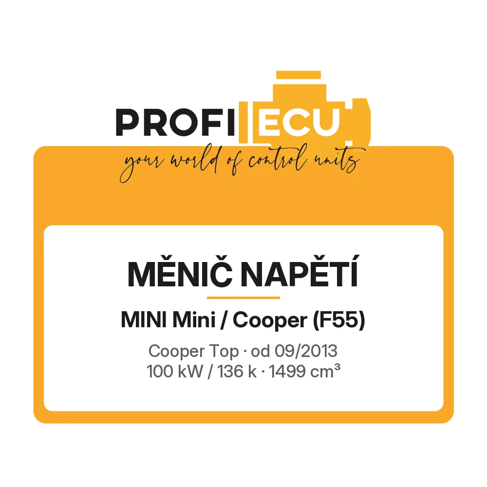 Etiketa ProfiECU: Měnič napětí pro Mini Mini / Cooper Cooper Top 100 kW