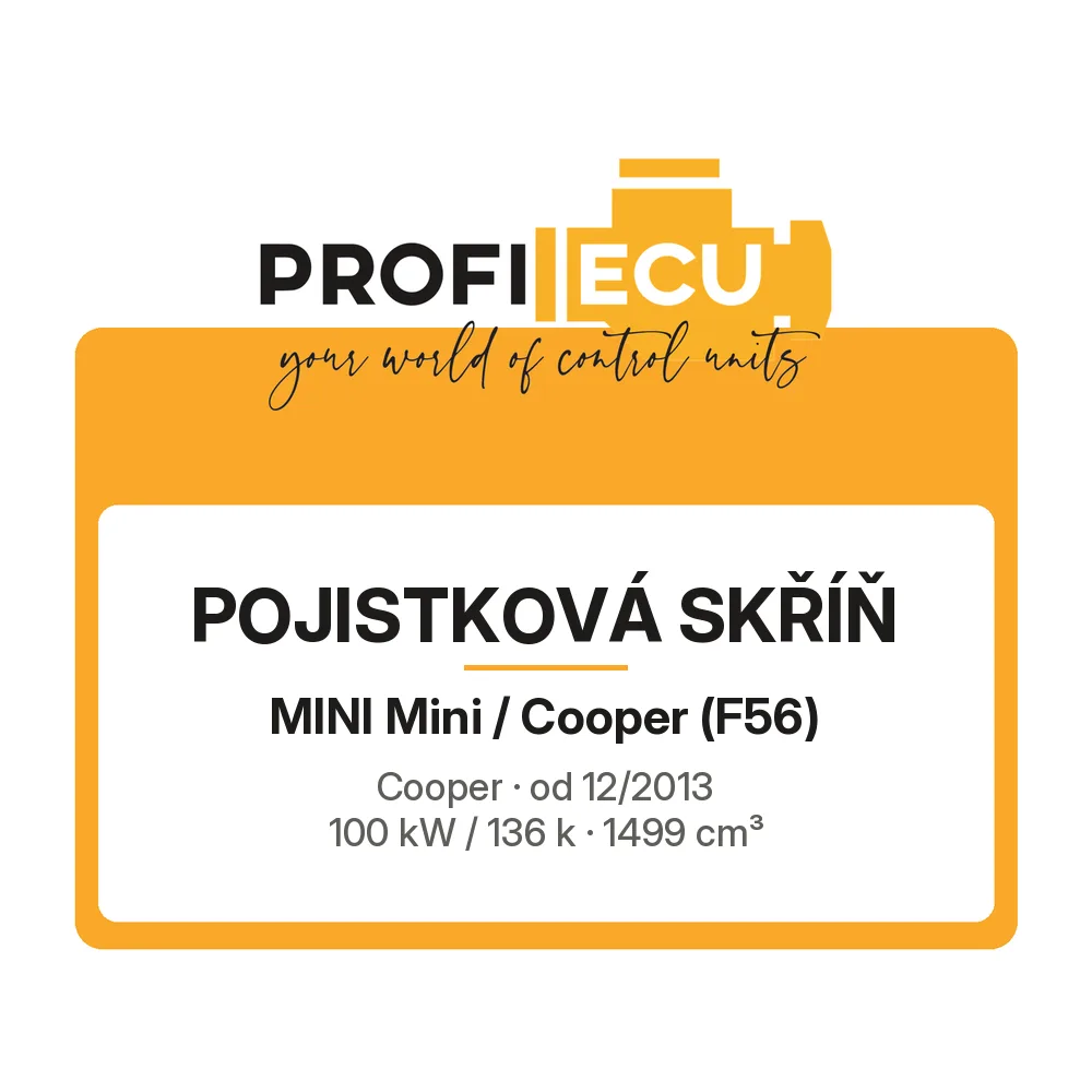 Etiketa ProfiECU: Pojistková skříň pro Mini Mini / Cooper Cooper 100 kW
