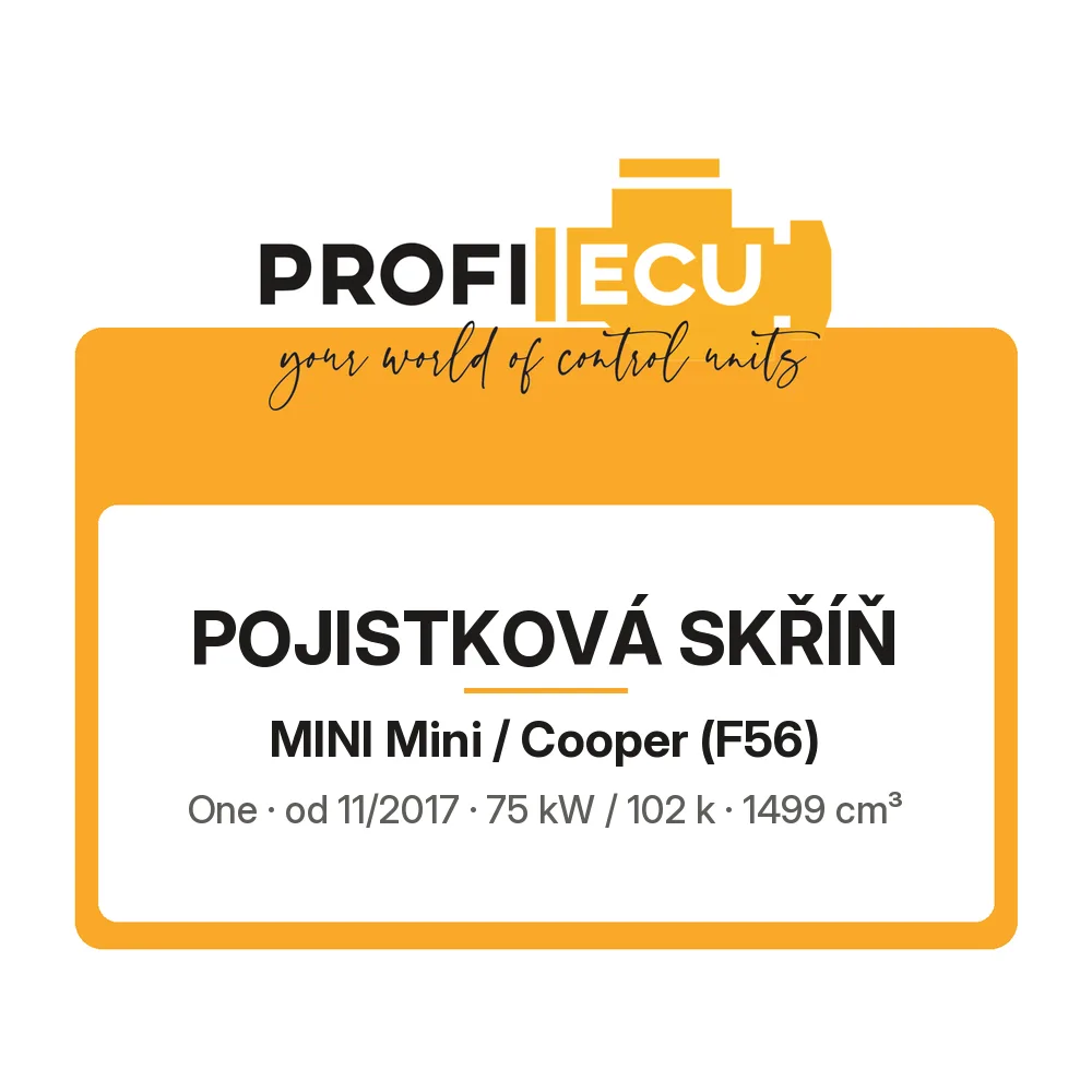 Etiketa ProfiECU: Pojistková skříň pro Mini Mini / Cooper One 75 kW