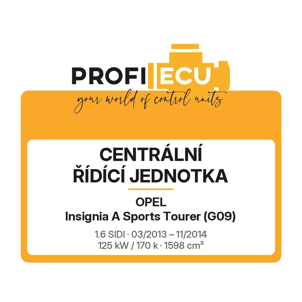 Etiketa ProfiECU: Centrální řídící jednotka pro Opel Insignia A Sports Tourer 1.6 SIDI 125 kW
