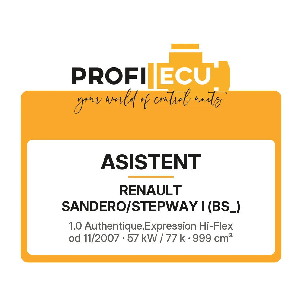 Etiketa ProfiECU: ASISTENT pro Renault SANDERO/STEPWAY I 1.0 Authentique,Expression Hi-Flex 57 kW