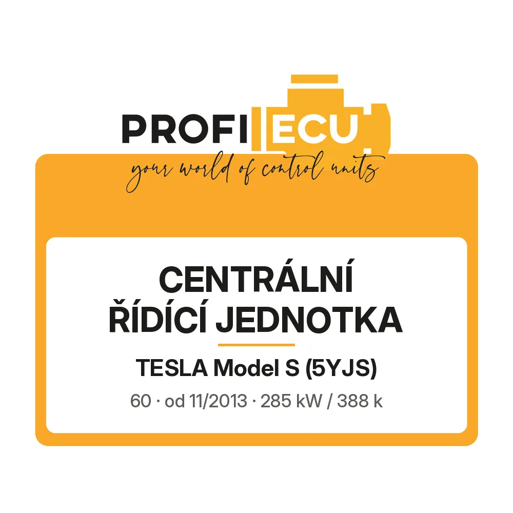 Etiketa ProfiECU: Centrální řídící jednotka pro Tesla Model S 60